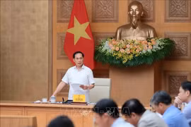 Le vice-Premier ministre Bui Thanh Son s’exprime lors de la visioconférence, à Hanoi, le 11 septembre. Photo : VNA