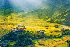 La nature se fait artiste dans le district de Mai Châu, province de Hoa Binh, au mois de juin. Photo : Internet