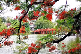 Anciennement appelé le lac d’émeraude en raison de sa couleur verte, le lac de l’Epée restituée est sans doute le site qui a le plus de charme à Hanoi. Photo: VNA
