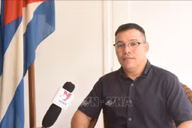 Le Dr Ruvislei González Saez, du Centre d’études de politique internationale de Cuba. Photo : VNA