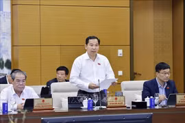 Lê Quang Manh, secrétaire général de l’Assemblée nationale et directeur du Bureau du Conseil électoral national. Photo: VNA