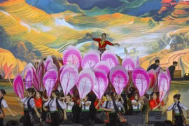 Programme artistique ouvrant la Fête des fleurs de bauhinie 2025. Photo: VNA