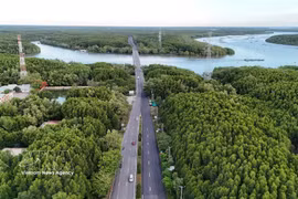 Vue aérienne de la forêt de protection de Cần Giờ. Photo: VNA