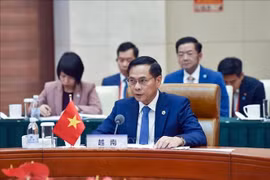 Le vice-Premier ministre et ministre des Affaires étrangères Bui Thanh Son s’exprime lors de la réunion, à Anning, dans le Yunnan. Photo : VNA 