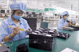 Selon l’Office général des statistiques du ministère des Finances, au début de 2025, le stock des IDE enregistrés au Vietnam a dépassé les 7 milliards de dollars, soit une augmentation impressionnante de 35,5% en glissement annuel. Photo: VNA
