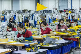 Les projets d’IDE à Quang Ngai ont créé des emplois et des revenus pour de nombreux travailleurs locaux. Photo : VNA