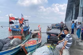 Bateaux de pêche. Photo : VNA
