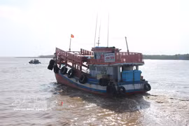 Les navires de pêche à Ca Mau doivent déclarer leurs opérations via le système de traçabilité électronique (eCDT) dans les ports de pêche officiellement désignés. Photo : VNA
