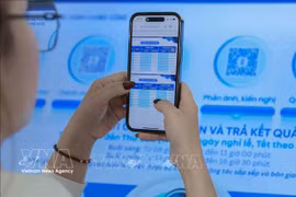 Une femme effectue des procédures administratives sur le Portail national de la fonction publique. Photo: VNA