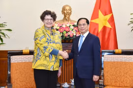 Le vice-Premier ministre et ministre des Affaires étrangères Bui Thanh Son serre la main de Hanoi l’ambassadrice d’Allemagne au Vietnam Helga Margarete, à Hanoi, le 24 février. Photo: VNA