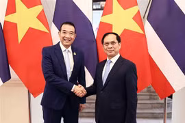 Le vice-Premier ministre et ministre des Affaires étrangères Bui Thanh Son (à droite) et le ministre thaïlandais des Affaires étrangères Maris Sangiampongsa se serrent la main, à Hanoi, le 24 février. Photo: VNA