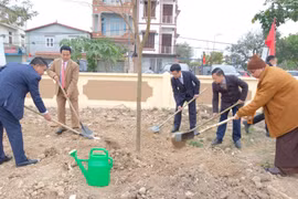 Plantation d'arbres au début du printemps dans la commune de Soc Son, à Hanoi. Photo : hanoimoi.vn