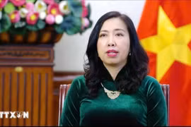 La vice-ministre des Affaires étrangères, Lê Thi Thu Hang. Photo: VNA