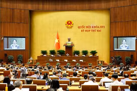 La ministre de la Culture, des Sports et du Tourisme, Lâm Thi Phuong Thanh, mandatée par le Premier ministre, présente la proposition relative au projet de loi sur le développement des industries culturelles. Photo: VNA