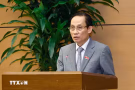Le ministre vietnamien des Affaires étrangères, Lê Hoài Trung. Photo : VNA
