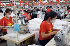 La part des marchandises vietnamiennes demeure dérisoire au sein du CPTPP, représentant à peine 1% du volume global des importations des pays membres. Photo: VNA