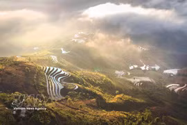La montagne Tà Xua culmine à 2.875 m au-dessus du niveau de la mer. Les visiteurs peuvent gravir le sommet pour admirer le panorama enchanteur des rizières en terrasse et des hameaux ethniques baignant dans une mer de nuages. Photo: VNA