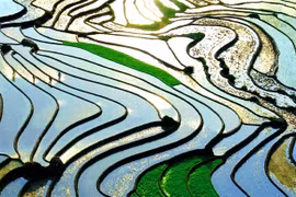 Les rizières de Sa Pa, inondées, se transforment en un immense miroir reflétant le ciel. Photo: viettourist.com