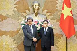 Le président de l’Assemblée nationale du Vietnam, Trân Thanh Mân (à droite), serre la main du secrétaire général par intérim du Parti libéral-démocrate, Hagiuda Koichi, à Hanoi, le 22 juillet. Photo : VNA