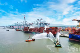 Vue panoramique du complexe portuaire de Cai Mep-Thi Vai, l'un des plus grands complexes portuaires en eau profonde d'Asie du Sud-Est. Photo : NDEL