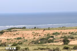 Le site choisi pour la construction de la centrale nucléaire de Ninh Thuân 1, dans la commune de Phuoc Dinh. Photo : VNA