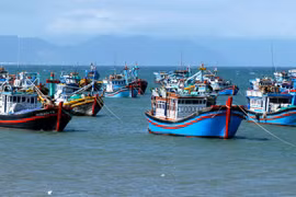 Photo d'illustration: thuysanvietnam.com.vn