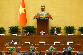 Le vice-président de l’Assemblée nationale, Nguyên Khac Dinh, s’exprime lors de la deuxième session de la 16e législature. Photo : VNA