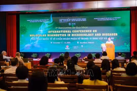 Une vision de la Conférence internationale sur le diagnostic moléculaire en microbiologie et maladies. Photo : VNA