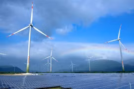 Le Vietnam possède la capacité photovoltaïque installée la plus étendue d’Asie du Sud-Est. Photo: VNA