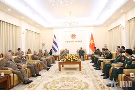 Vue de l’entrevue entre le vice-ministre de la Défense Nguyên Tân Cuong et le ministre des Forces armées révolutionnaires de Cuba Álvaro López Miera. Photo : qdnd.vn