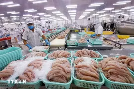 La reconnaissance officielle par le Département américain de l'Agriculture de l'équivalent du système vietnamien de contrôle de la sécurité alimentaire de poisson tra vietnamien exporté vers les Etats-Unis facilitera l’accès et l’expansion du marché pour les produits vietnamiens. Photo : VNA