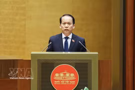 Le ministre de la Justice, Hoàng Thanh Tung, lors de la deuxième session de l’Assemblée nationale de la 16e législature. Photo: VNA