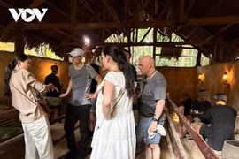 Des touristes étrangers visitent les tunnels de Cu Chi. Photo: VOV