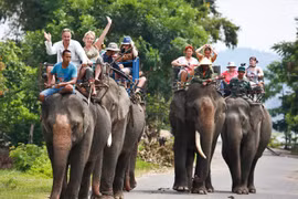Trek à dos d’éléphant à Dak Lak, sur les Hauts Plateaux du Centre. Photo: Internet