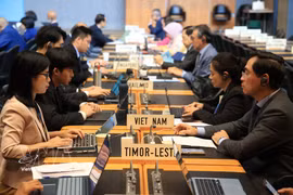 Des membres de la Mission permanente du Vietnam à Genève participent à l'événement. Photo : VNA