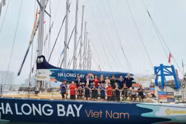 La baie de Ha Long s’apprête à devenir le théâtre d'un impressionnant ballet nautique. Pour l'occasion, 12 équipes et 48 skippers s'y rassemblent, fédérant autour d'une même passion les loups de mer de la première heure comme les simples curieux. Photo : halongport.vn