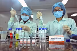 Les organisations et les particuliers engagés dans des PPP pour la recherche scientifique, le développement technologique, l’innovation et la transformation numérique sont éligibles à diverses formes d’incitations et de soutien de l’État. Photo d’illustration : VNA