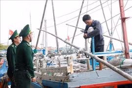 Des gardes-frontières de la province de Phu Yên vulgarisent des informations sur la lutte contre la pêche INN auprès d’un pêcheur du port de pêche de Dông Tac, dans la ville de Tuy Hoa. Photo : VNA
