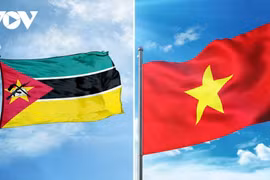 Drapeaux du Mozambique et du Vietnam. Photo: VOV
