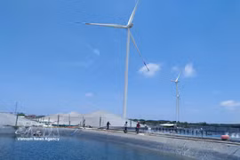 Développement de la crevetticulture de haute technologie et de l'énergie éolienne dans la commune de Thanh Hai, province de Vinh Long. Photo: VNA