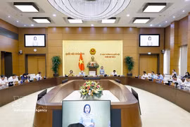 La vice-présidente de l'Assemblée nationale, Nguyên Thi Thanh, s’exprime devant le Comité permanent de l’Assemblée nationale. Photo : VNA