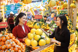 Le secteur agricole devrait enregistrer une croissance d’au moins 4 % en 2026, tandis que les exportations de produits agricoles devraient franchir la barre des 74 milliards de dollars. Photo : VNA