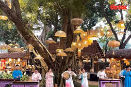 Le programme s’ouvre par des performances artistiques, avant d’inviter les visiteurs à découvrir un espace d’exposition conçu comme un véritable « jardin de lumière », où cohabitent des centaines de créations aux dimensions et aux styles variés. Photos: baotintuc.vn