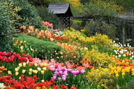 Jardin fleuri du centre-ville de Dalat. Photo : Bazan Travel