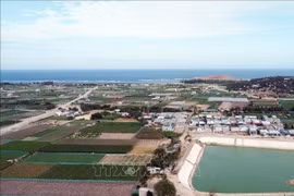 La zone prévue pour la construction de la centrale nucléaire de Ninh Thuân 2, dans la commune de Vinh Hai, district de Ninh Hai. Photo: VNA