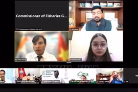 Le conseiller commercial Bui Trung Thuong s'exprime lors du webinaire, le 28 mai 2025. Photo: VNA