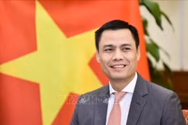 Le vice-ministre des Affaires étrangères, Dang Hoàng Giang. Photo : VNA