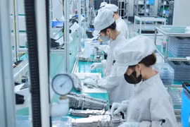 Des composants électroniques sont produits par une entreprise étrangère de la province de Quảng Ninh. Les nouveaux droits de douane imposés par le président américain Donald Trump sur les marchandises importées du Vietnam affecteront gravement plusieurs secteurs, dont l'électronique. Photo: VNA