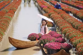 Une touriste se fait prendre des photos au jardin de fleurs de Sa Dec, dans la province de Dông Thap. Photo : VNA