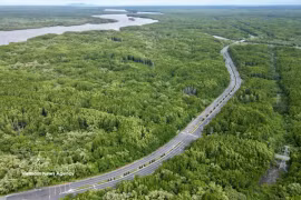 La mangrove de Cân Gio, un écosystème crucial de "puits de carbone", contribue à la génération de crédits carbone pour le fonctionnement du marché du carbone vietnamien. Phto: VNA